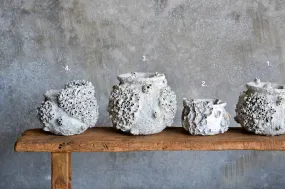 Barnacle Pots