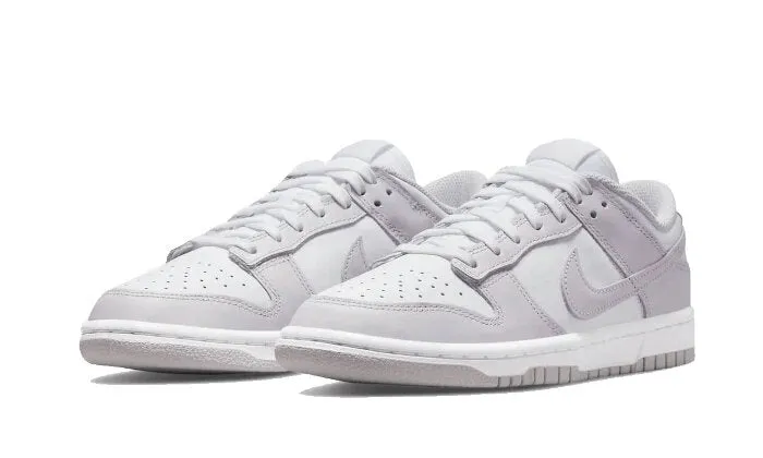 Nike Dunk Low Venice (W)